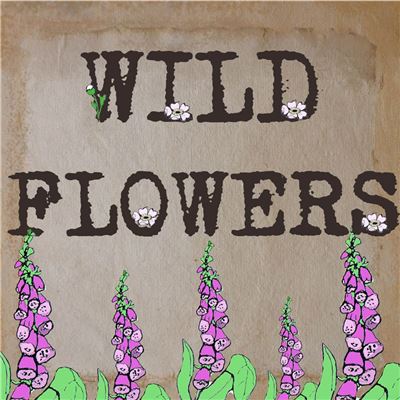 Order Wild Flowers